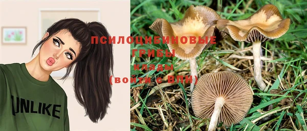 кокс Аша