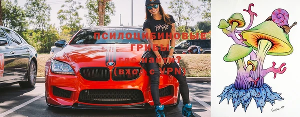 2c-b Верхний Тагил