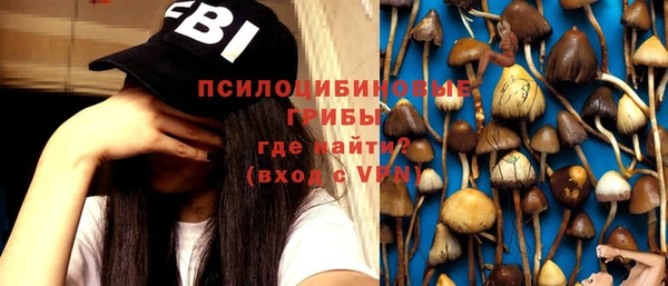 PSILOCYBIN Верхнеуральск